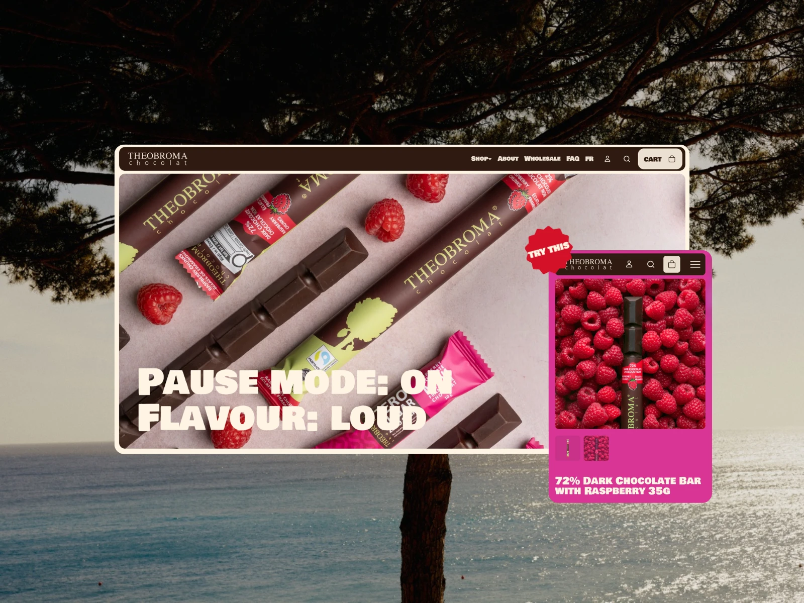 Theobroma Chocolat website and chocolate product presentation.